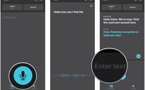iphone 12专用翻译应用程序：如何翻译短语