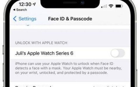 苹果发布首款具有iphone解锁功能的watchos 7.4 beta