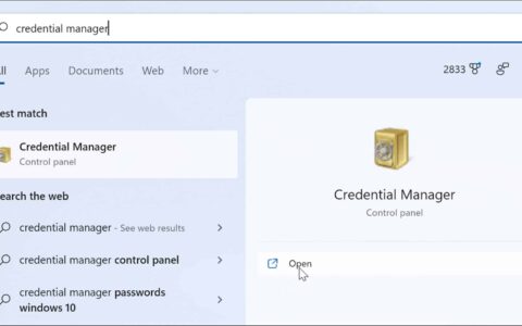 如何在 windows 11 上使用凭据管理器