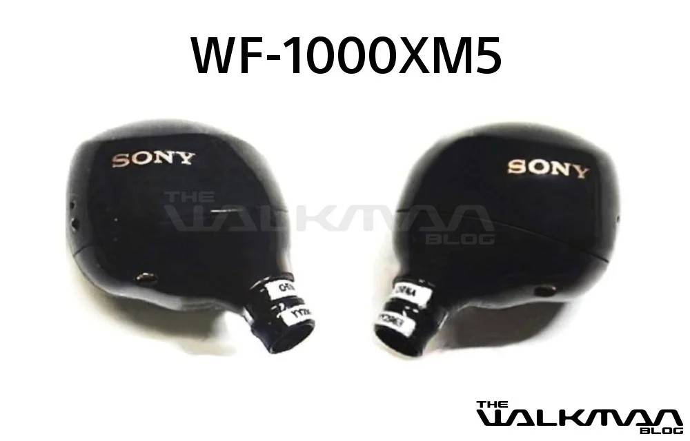 wf1000xm5_cover.webp wf1000xm5_cover.webp