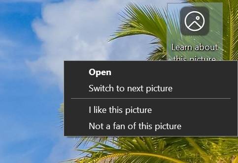 windows-spotlight-on-desktop windows-spotlight-on-desktop
