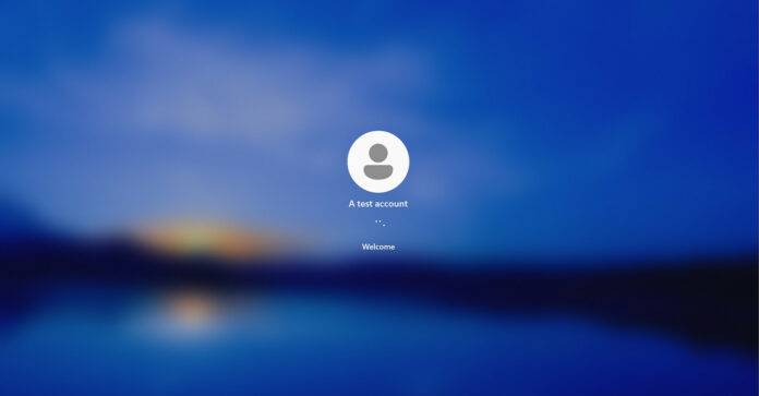 windows-11-spotlight-feature-696x363-1 windows-11-spotlight-feature-696x363-1