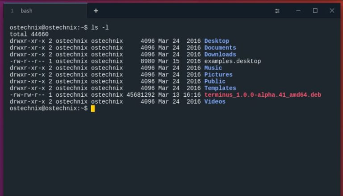 terminus-windows-11-emulator terminus-windows-11-emulator