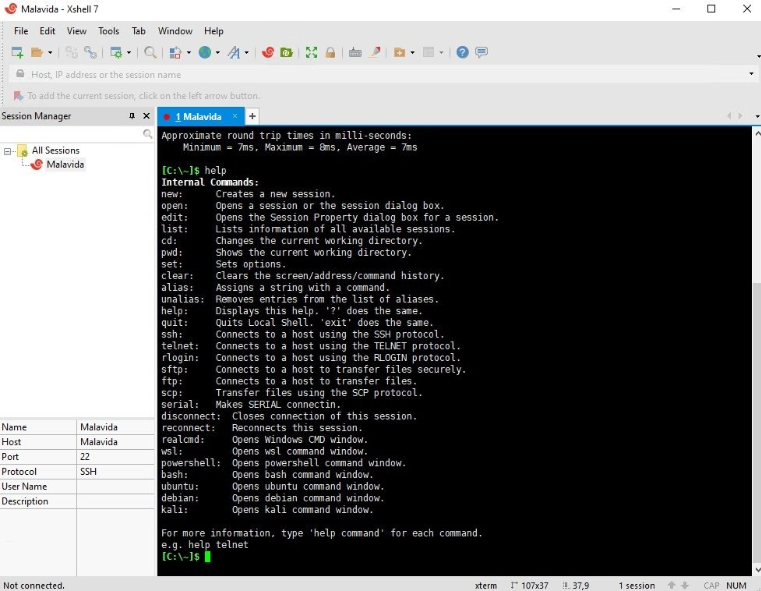 xshell-windows-11-emulator-terminal-1 xshell-windows-11-emulator-terminal-1
