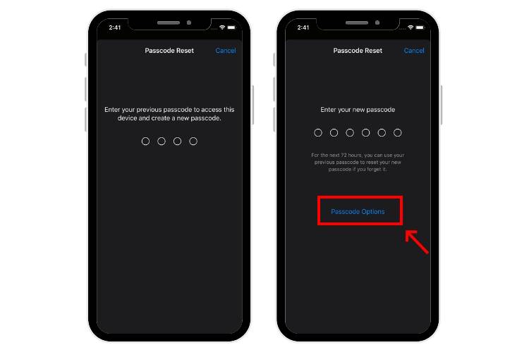 reset-iphone-passcode reset-iphone-passcode