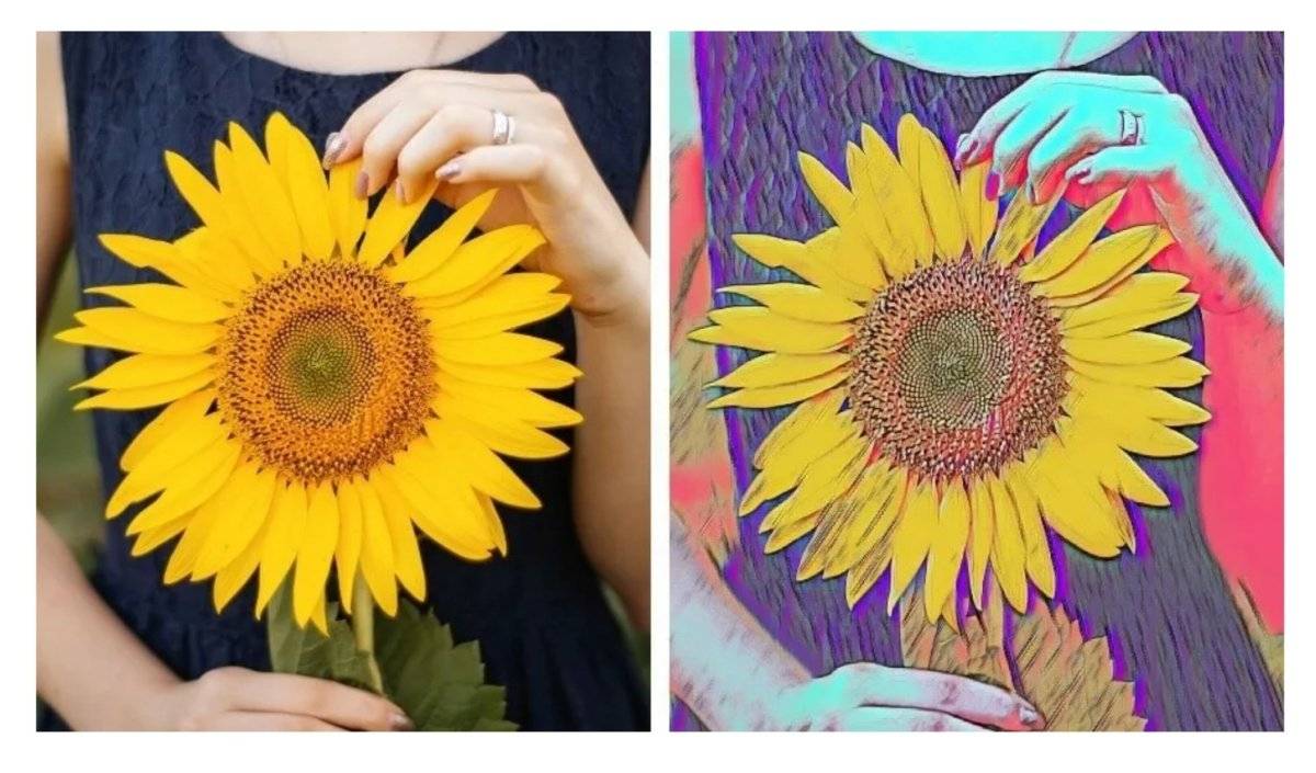 adobe-photoshop-elements-2022-1200x705-1 adobe-photoshop-elements-2022-1200x705-1
