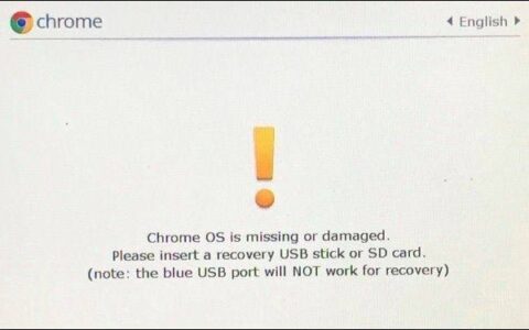 如何在 chromebook 上打开 chromeos 开发者模式