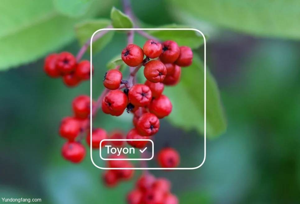 microsoft-lobe-machine-learning microsoft-lobe-machine-learning