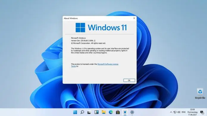 windows-11-desktop-winbuzzer-696x391.jpg.webp windows-11-desktop-winbuzzer-696x391.jpg.webp