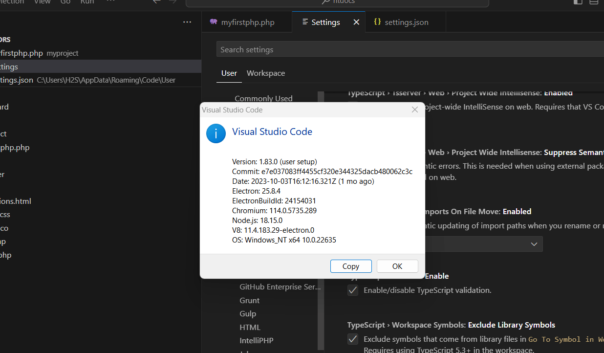 cehck-visual-code-studio-version-1 cehck-visual-code-studio-version-1