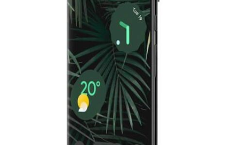 google pixel 6 pro 与三星 galaxy z fold 3：疯狂的相机与可折叠魔术